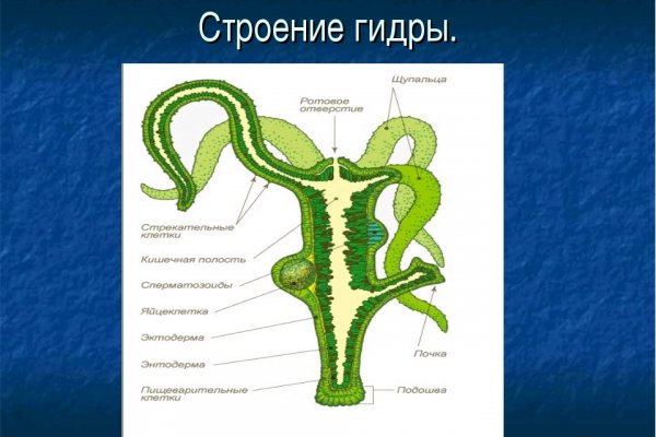 Как найти актуальную ссылку на кракен