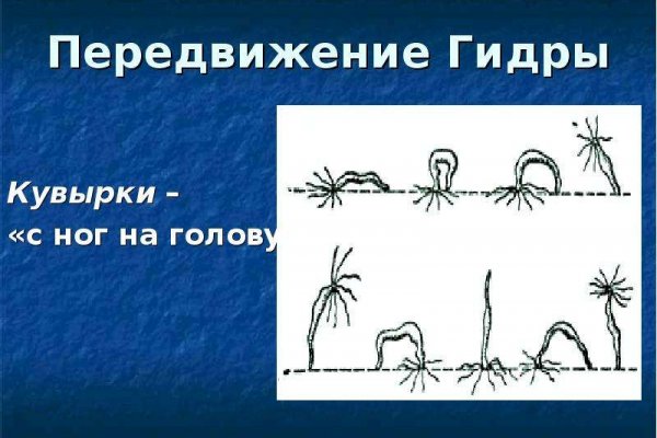 Kraken forum